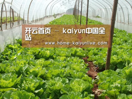 种植基地五