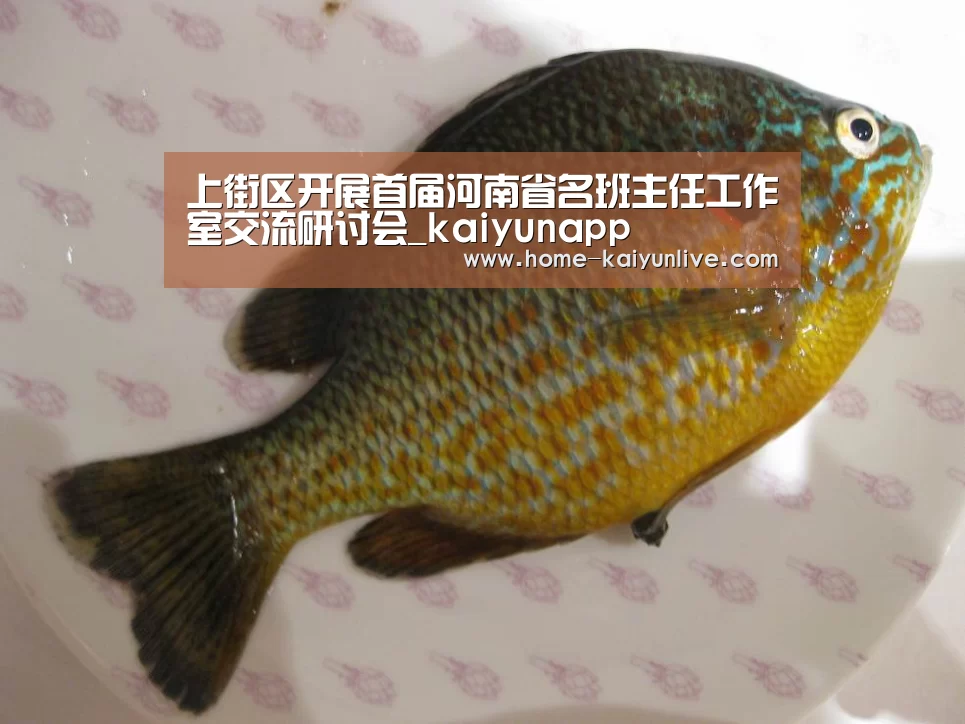 上街区开展首届河南省名班主任工作室交流研讨会_kaiyunapp(图2) kaiyun官方网站